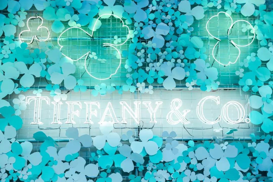 Clearance sale | teddypopup